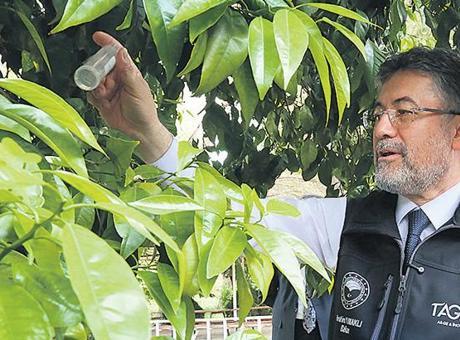 Bakan Yumaklı, 39 Yeni Tarla Bitkisi Çeşidinin Tescilini Açıkladı