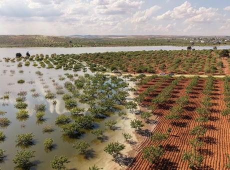 Gaziantep’te Olumsuz Hava Koşulları: 50 Yıllık Fıstık Ağaçları Sular Altında Kaldı