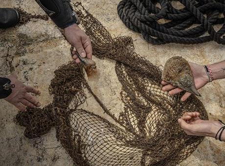 Hayalet Ağlar, Deniz Canlılarına Karşı Tehdit! Mavi Atlas Uygulaması ile 15 Bin Metrekare Ağ Temizlendi