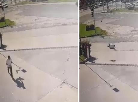 Elazığ'da Karganın Saldırısı Kamerada: Vatandaşın İlginç Kaçışı
