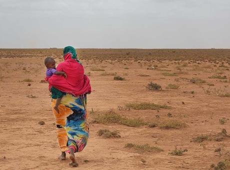 İsrail'in Somaliland'daki Askeri Eğitim Faaliyetleri Ortaya Çıktı: Resmi Açıklama Yok