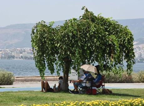 Uzmanlardan Sıcak Hava Tehditi: Temmuz Sonrası Rekor Sıcaklıklar Bekleniyor