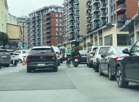 İstanbul'da Şok Edici Olay: Motosiklete Bağlanan Köpek Koşturuldu