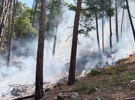 Antalya'da Yıldırım Düşmesi Orman Yangınına Neden Oldu