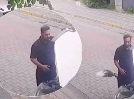 Kaput Açıldığında Karşılaştığı Kuş Sürücüyü Şaşırttı; Direksiyon Altındaki Kertenkele İse Büyük Bir Yanlış Anlama Doğurdu