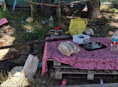 Ankara'da Piknikte Korkunç Cinayet: Eşini Bıçaklayarak Kaçtı