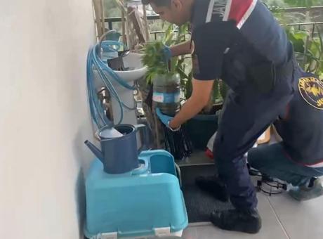 Jandarmadan Tarihi Uyuşturucu Operasyonu: 341 Gözaltı