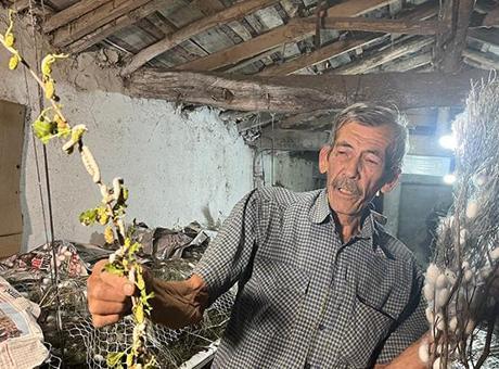 Ankara'nın İpek Böceği Ustası: 40 Günde 216 Bin Lira Gelir Elde Ediyor