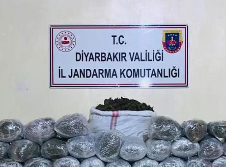 Diyarbakır'da Büyük Uyuşturucu Operasyonu: 31 Gözaltı ve Yüz Binlerce Kök Kenevir Ele Geçirildi