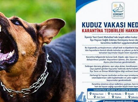 Kuduz Vakası Nedeniyle Karantina Uygulaması: Edremit'te Hayvan Hareketliliğine Sınırlama Getirildi
