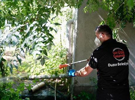 Düzce'de Asya Kaplan Sivrisineği İle Mücadele Başlatıldı