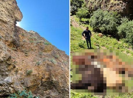 Yabani Hayvan Saldırısı: 26 Buzağı Kayalıklardan Düştü
