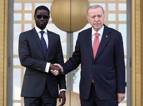 Cumhurbaşkanı Erdoğan, Senegal Cumhurbaşkanı Bassirou Diomaye Faye ile görüştü