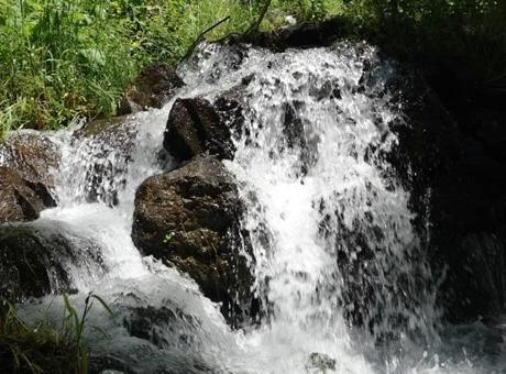 300 yıldır aynı şekilde akıyor! Trabzon'daki yaşam pınarı yazın soğuk, kışın ılık