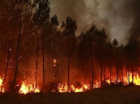 52 gün sürmüştü: Sırbistan'daki orman yangını söndürüldü