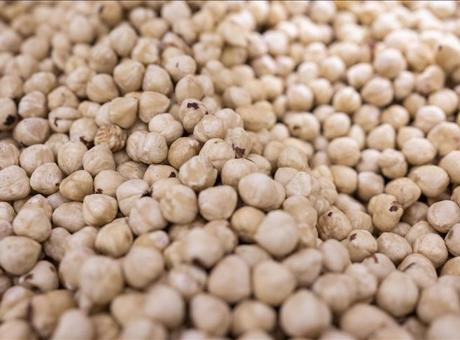 Fındık Ticaretinde Rekor: 217 Bin Tondan Fazla İşlem Gerçekleşti