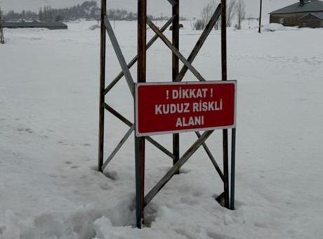 Hakkari'de Kuduz Tehdidi: Kadıköy Köyü Karantinaya Alındı