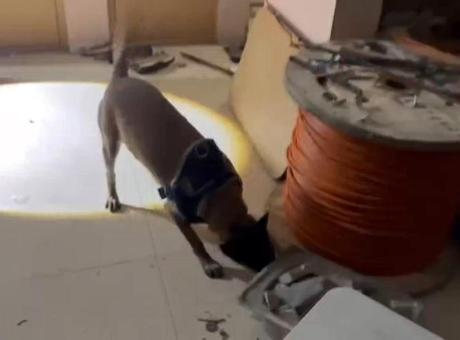 İstanbul Avcılar'da Uyuşturucu Operasyonu: 50 Kilo 809 Gram Metamfetamin Ele Geçirildi