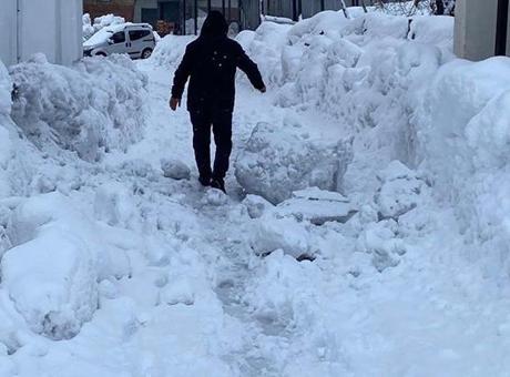 Karlıova'da 40 Gün Süren Kar Yağışı Hayatı Olumsuz Etkiledi