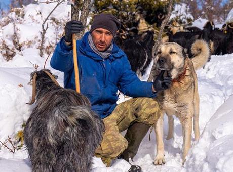 Köpeğinin Kasten Öldürüldüğünü İddia Eden Çiftçinin Anıları