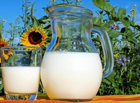 Türkiye'de İnek Sütü Toplama Miktarında Düşüş Yaşandı