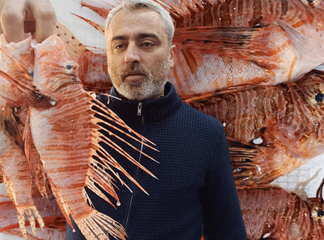 Aslan Balığı Tüketimi Artıyor: Zehirli Dikenler Tehlikesi ve Lezzeti