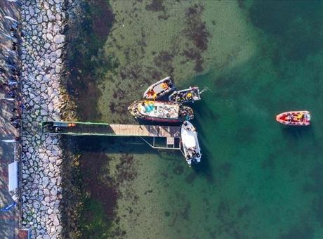 İzmit Körfezi'nde Dev Temizlik Projesi: 110 Bin Kamyon Çamur Çıkarıldı