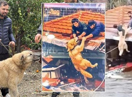 Serkan Şimşek'in Cesur Kurtuluşu: Paşa'yı Kurtarırken Hayatını Tehlikeye Attı