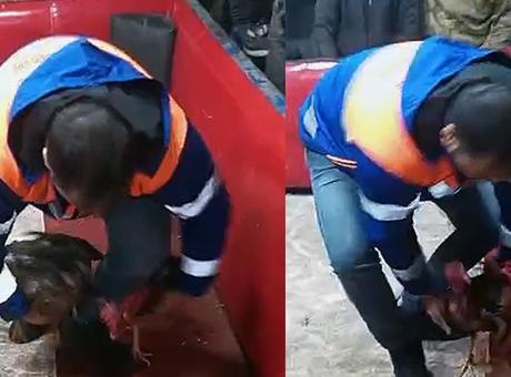 Seyhan'da Kumar Baskını: Temizlik İşçisi Kılığıyla Suçüstü Yapıldı