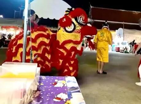 Tayland Polisi, Aslan Kostümüyle Hırsız Takibine Çıktı