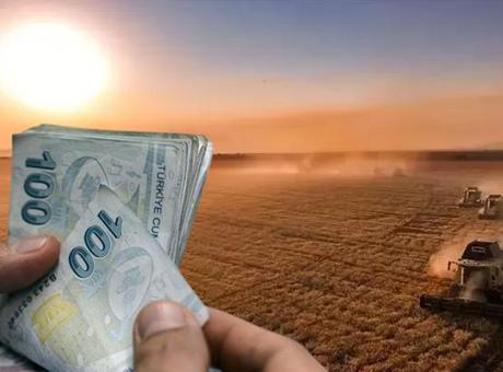 Tarım ve Orman Bakanlığı'ndan Çiftçilere 129 Milyon Liralık Destek Ödemesi