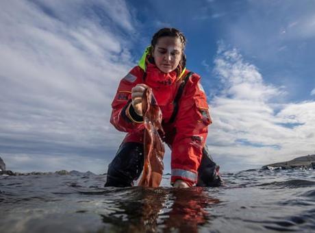 Türk Bilim İnsanlarının Antarktika Araştırmaları: Sağlık ve Tarımda Yeni Ufuklar