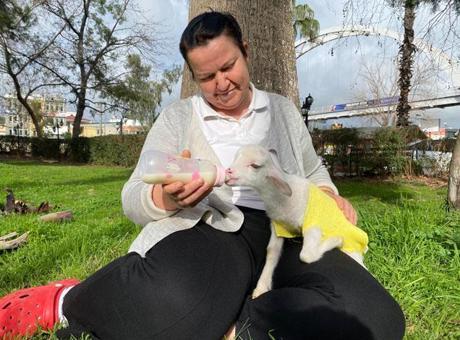 Annesi İlgilenmedi, 'Naciye' Kuzu Artık Bir Aile Üyesi