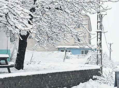 Kışın Gelişi: Türkiye'de Soğuk Hava Dalgası Etkili Olacak