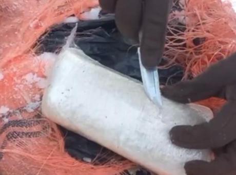 Van ve Hakkari'de Uyuşturucu Operasyonu: 406 Kilogram Kaçak Madde Ele Geçirildi