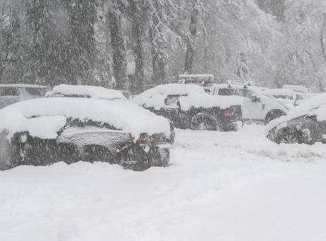 ABD'nin Kuzeydoğu Kıyılarında Şiddetli Kar Fırtınası: 40 Milyondan Fazla Kişi Etkilendi