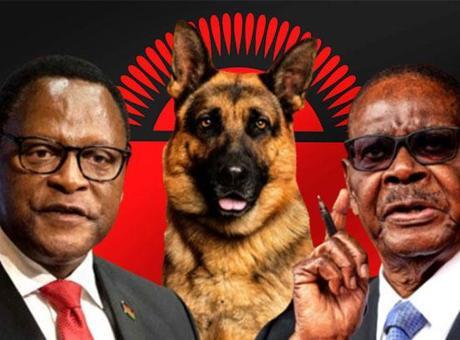 Malawi'deki Köpek Krizi: Eski ve Mevcut Başkan Arasındaki Çatışma Derinleşiyor