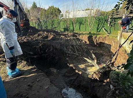 17 Yıl Süren Kayıp Kadının Korkunç Hikayesi: Eski Eniştesi İtiraf Etti, Ablası Gözaltında