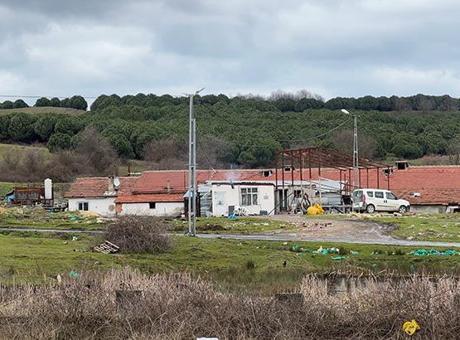 Çiftlik Evinde Korkunç Olay: Elektrikli Testere ile Tartışma Sonrası Cinayet Girişimi