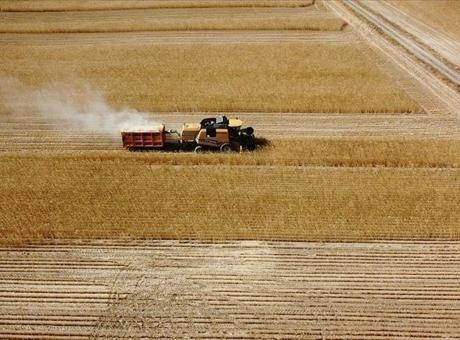 Bugün Çiftçilere 149 Milyon Liralık Tarımsal Destekleme Ödemesi Yapılacak