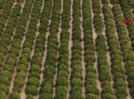 Antalya'da Sel Felaketinin Zararı 3 Milyar TL'ye Ulaşacak