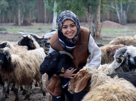 Depremin Ardından Yeniden Hayat Buldu: Üniversite Öğrencisi Ülgü, Devlet Desteğiyle Besiciliğe Devam Ediyor