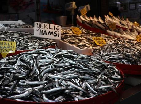 Moloz'daki Balık Tezgahlarında Hamsi ve İstavrit Yağmuru