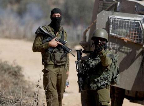 İsrail'in Batı Şeria'daki Saldırıları Şubat Ayında Zirveye Ulaştı: 1965 Eylem Gerçekleşti