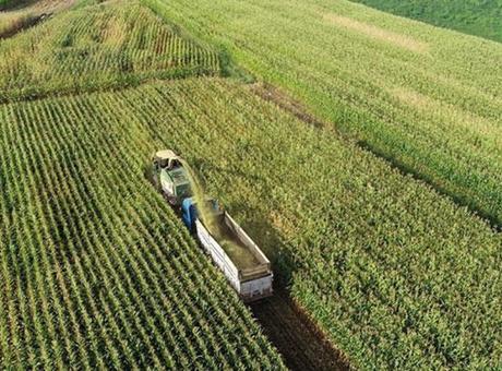 Kırsal Kalkınma İçin 3 Yılda 65,5 Milyar Lira Yatırım Yapılacak