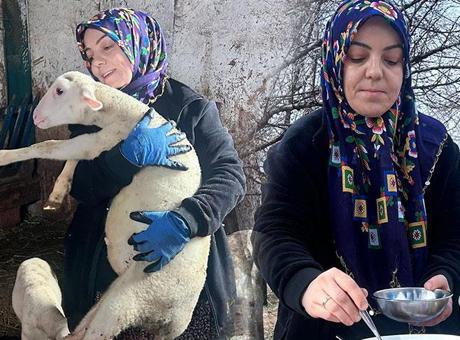 Şehir Hayatını Geride Bırakarak Çiftlik Kurdu: Nurcan Göçmen'in Başarı Hikayesi