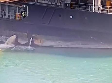 Mersin'de Denizi Kirleten Gemiye 13 Milyon TL Ceza Uygulandı