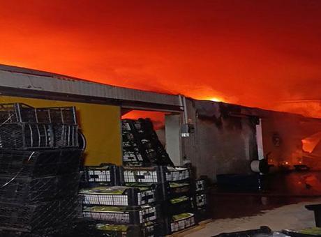 Antalya'da Muz Paketleme Tesisinde Yangın Çıktı