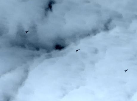 Baykar'ın K2 Kamikaze İHA'sı, Sürü Formasyonunda Başarılı Testler Gerçekleştirdi