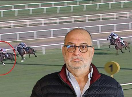 Yarış Atının Etinin Düşmesine Neden Olan Skandal: İş İnsanı Ceza Aldı